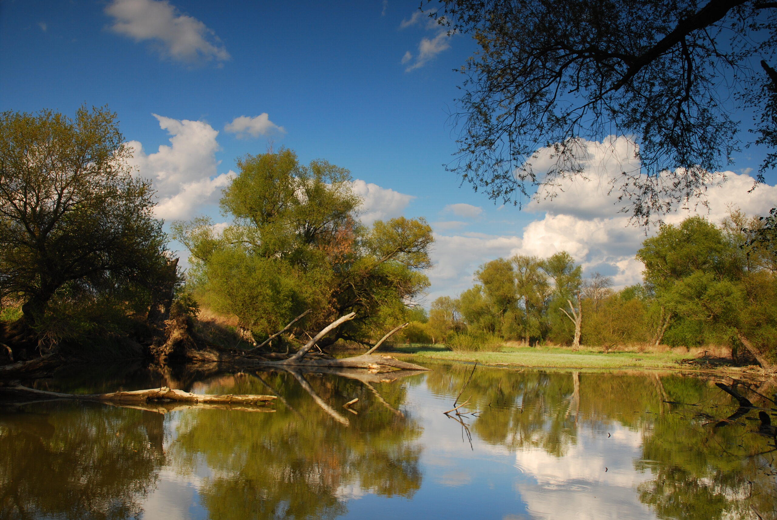 Natura 2000_Mraz_Devinske_jazero