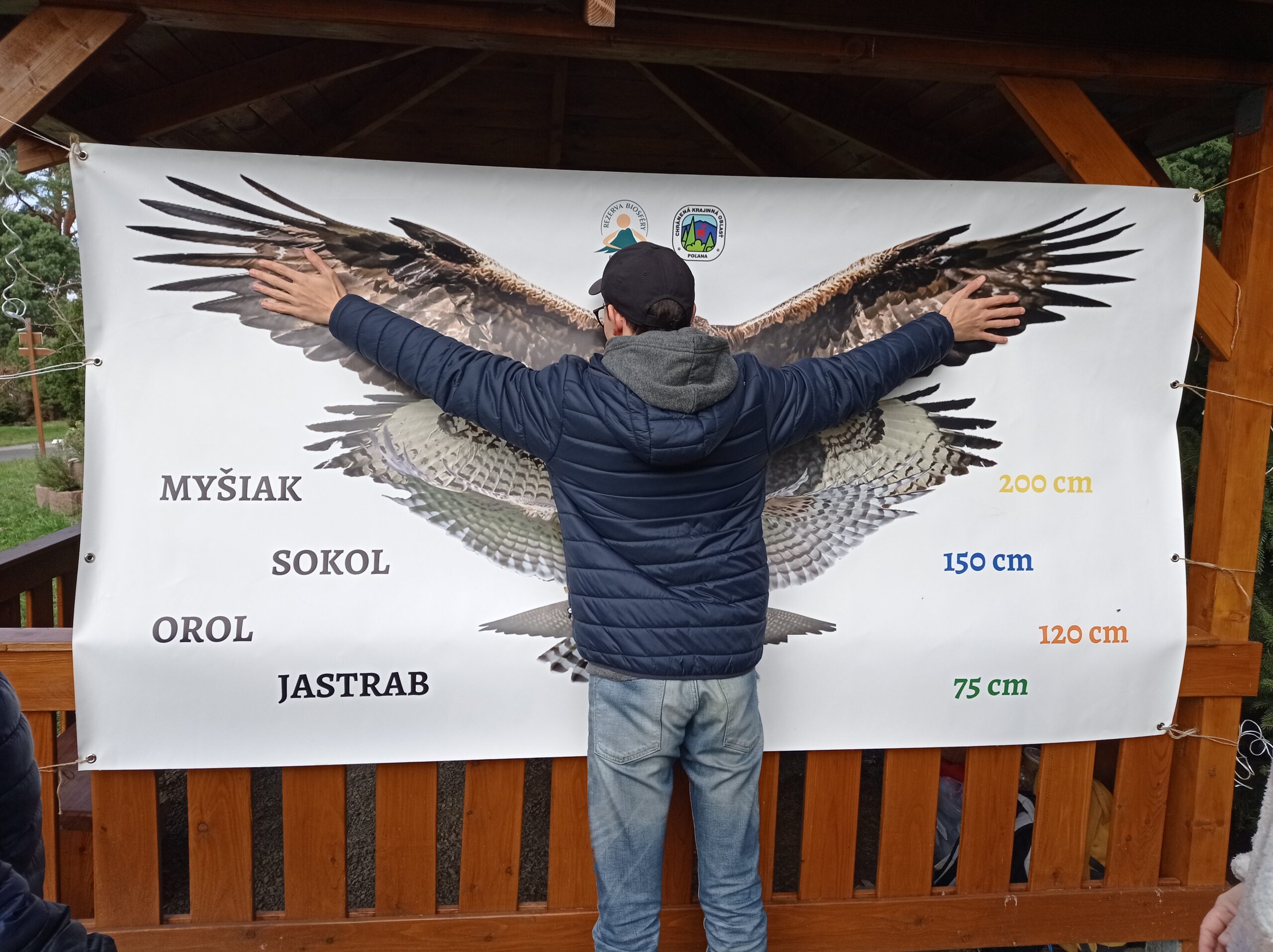 IMG_20250401_100121