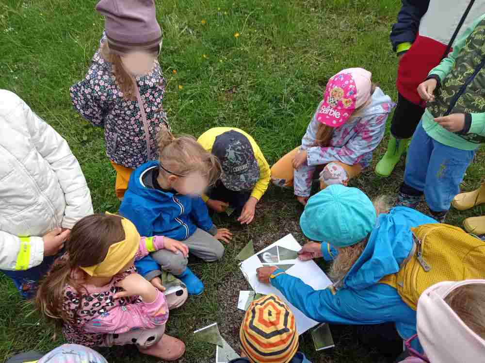 IMG_20250506_094920(1)