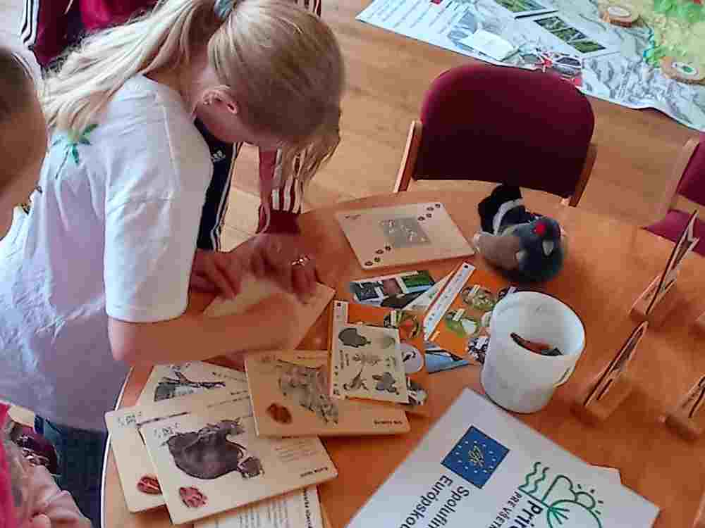 IMG_20250926_140015(1)