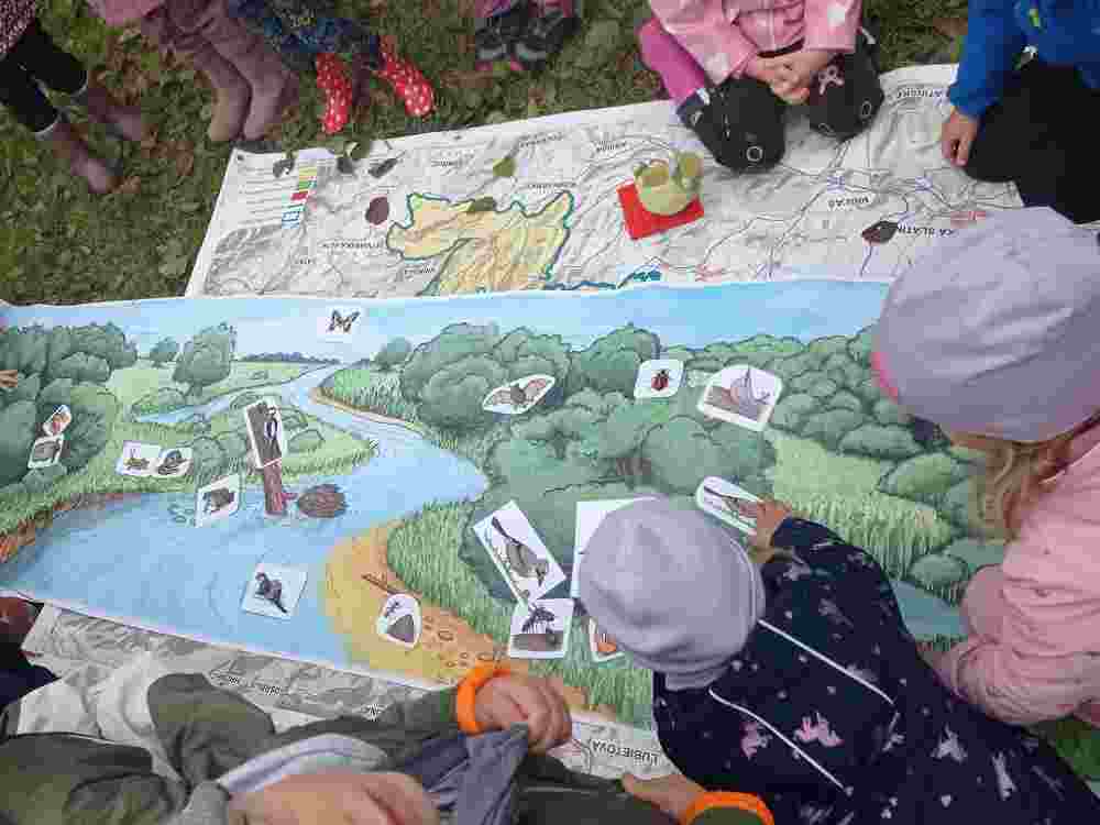 IMG_20251023_093535(1)