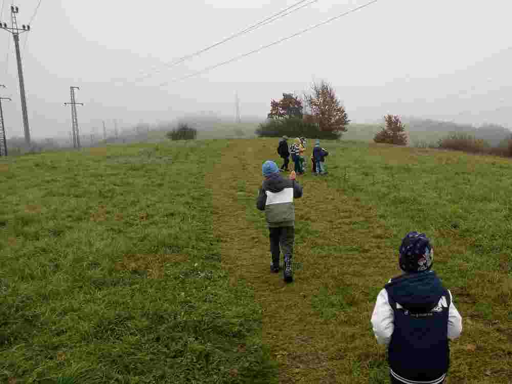 IMG_20251111_111615(1)