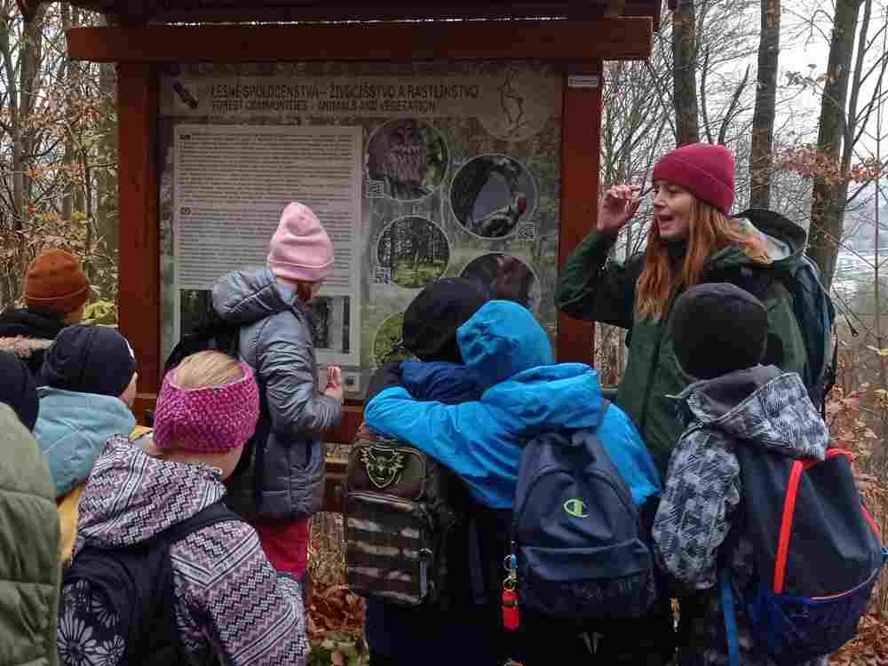 IMG_20251113_095824(1)