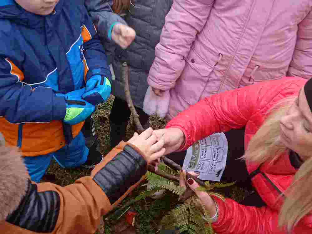 IMG_20251120_095619(1)